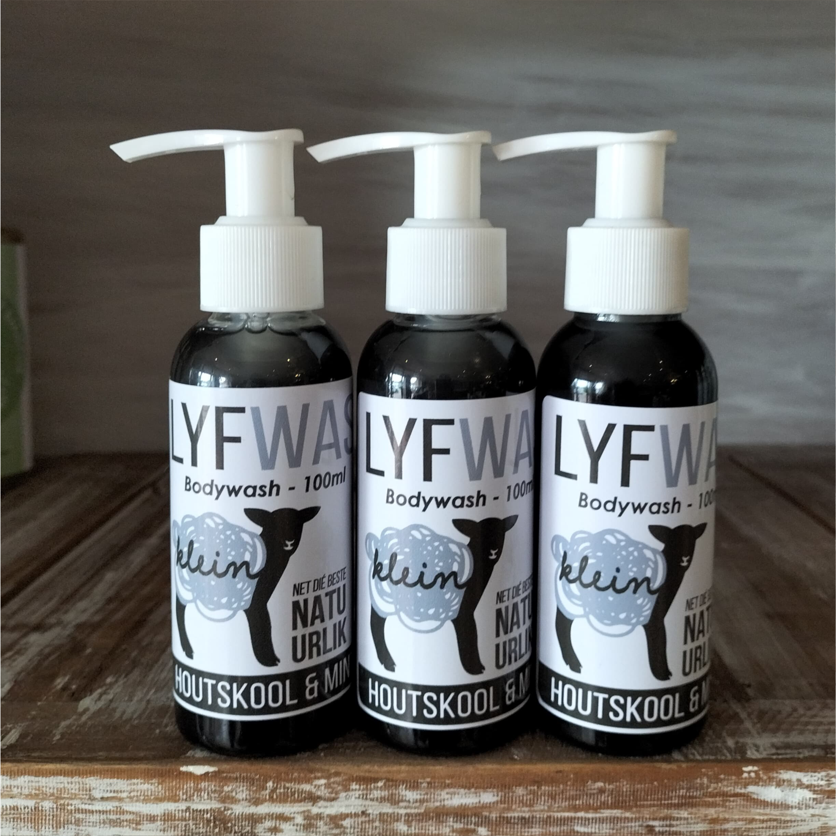 Lyfwas 100ml - Houtskool & Mint