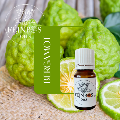 Bergamot EO 5ml