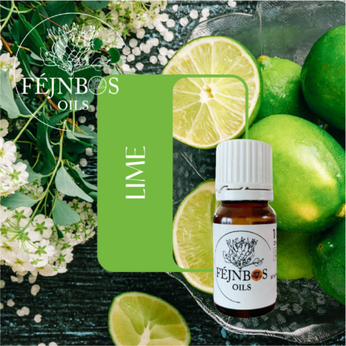 Lime EO 5ml