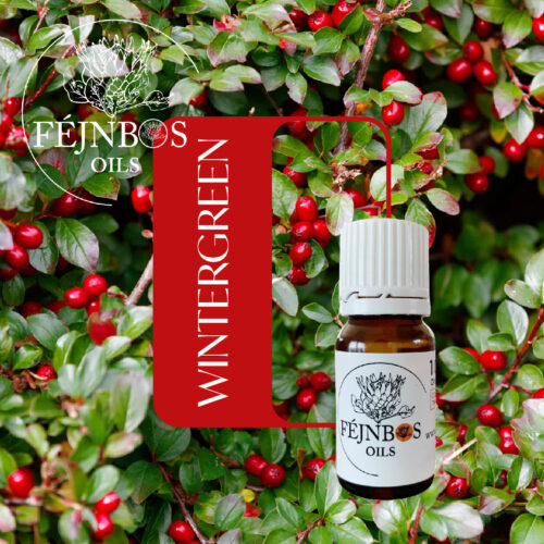 Wintergreen EO 5ml